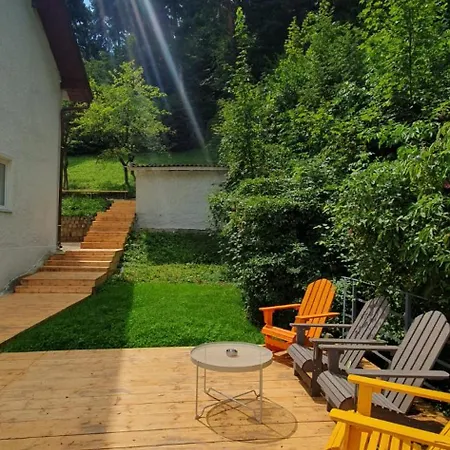 The Pines Serviced * Brasov